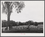 Graveyard near Townsend, New York.