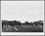 Graveyard near Townsend, New York.