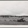Landscape near Ithaca, New York.