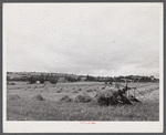 Landscape near Ithaca, New York.