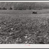 Tilling field, showing rocky soil along Route 34, three miles north of Spencer, New York.