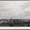 Root fence and landscape from the Mud Lake Road near Townsend, New York.
