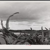 Root fence and landscape near the Mud Lake Road, near Townsend, New York.