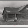 Mrs. Ben Harris, feeding her goats outside her house in the submarginal farm area of Rumsey Hill, near Erin, New York.