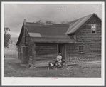Mrs. Ben Harris, feeding her goats outside her house in the submarginal farm area of Rumsey Hill, near Erin, New York.