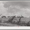 Root fence and field near Townsend, New York.