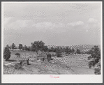 Farm buildings and landscape showing type of country in Sugar Hill, near Townsend, New York.