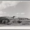 Landscape showing type of country in submarginal farm area of Sugar Hill, near Townsend, New York.