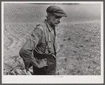Connecticut farmer. Had just finished stacking his corn. Suffield, Connecticut.