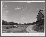 Mr. Arthur Wolf driving his team of horses on his farm in North Branford, Connecticut.