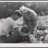 Mrs. Louis Saffer and one of her sons. Jewish truck farmers near Branford, Connecticut.