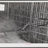 Mrs. Louis Saffer and one of her sons. Jewish truck farmers near Branford, Connecticut.