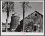 Silo leaning dangerously on a farm in North Branford, Connecticut .
