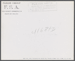 Cows on the farm of Mrs. Dewitt Lasser, FSA (Farm Security Administration) client near Chesire, Connecticut.