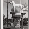 White Horse Whiskey advertisement in front of Horse and Hound Inn on Route 6. Watertown, Connecticut.
