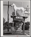 White Horse Whiskey advertisement in front of Horse and Hound Inn on Route 6. Watertown, Connecticut.