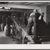 Dumping potatoes into the grader at the Woodman Potato Company. Caribou, Maine.