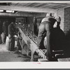 Dumping potatoes into the grader at the Woodman Potato Company. Caribou, Maine.