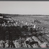 Gathering potatoes of one of the farms off the Woodman Potato Company. On the right a double row tractor is being used. Eleven miles north of Caribou, Maine.