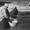 Baskets used for gathering potatoes are dipped in an acid bath as a preventive measure against bacterial wilt and other diseases. On Woodman Potato Company Farm, eleven miles north of Caribou, Maine.