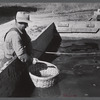 Baskets used for gathering potatoes are dipped in an acid bath as a preventive measure against bacterial wilt and other diseases. On Woodman Potato Company Farm, eleven miles north of Caribou, Maine.
