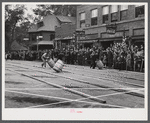 Main event of the potato barrel rolling contest in Presque Isle, Maine.