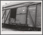 Sacks of seed potatoes loaded on a freight car of the Bangor and Aroostook Railroad for shipment. Caribou, Maine.