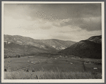 General view of Ida Valley Homesteads looking east from top of pasture hill. Luray, Virginia.
