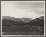 General view of Ida Valley Homesteads looking east from top of pasture hill. Luray, Virginia.