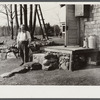 Hermit of Maine standing outside of his shack. Freeport, Maine.