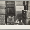 Milk storage room at the United Cooperative Society at Fitchburg, Massachusetts.