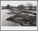 Land ruined by the high waters of the Connecticut River. Near Hatfield, Massachusetts.