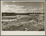 Ruined tobacco land along the Connecticut River, near Hatfield, Massachusetts.