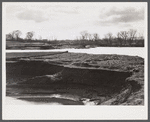 Ruined tobacco land along the Connecticut River, near Hatfield, Massachusetts.