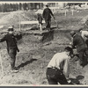 Men at work on the Greenbelt Project, Berwyn, Maryland.