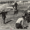 Men at work on the Greenbelt Project, Berwyn, Maryland.