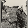 Men at work on the Greenbelt Project, Berwyn, Maryland.