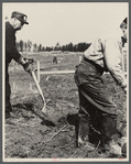 Men at work on the Greenbelt Project, Berwyn, Maryland.