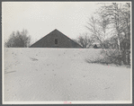 Desert of Maine. Freeport, Maine. Sand gradually covering up large barn.