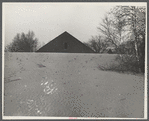 Desert of Maine. Freeport, Maine. Sand gradually covering up large barn.