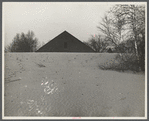 Desert of Maine. Freeport, Maine. Sand gradually covering up large barn.
