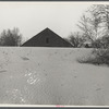 Desert of Maine. Freeport, Maine. Sand gradually covering up large barn.