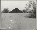Desert of Maine. Freeport, Maine. Sand gradually covering up large barn.