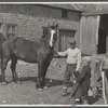 Rehabilitation farmer with horse secured through Resettlement loan, Waldo County, Maine.