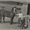 Rehabilitation farmer with horse secured through Resettlement loan, Waldo County, Maine.