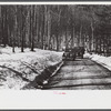 Resettlement Administration and Forest Service trucks in hardwoods, Bear Notch Road, New Hampshire.