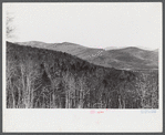 Presidential Range from Bear Notch Road, New Hampshire.