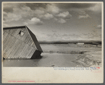 Tobacco fields devastated by the Connecticut River near Northampton, Massachusetts.