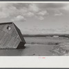 Tobacco fields devastated by the Connecticut River near Northampton, Massachusetts.