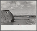 Tobacco fields devastated by the Connecticut River near Northampton, Massachusetts.
